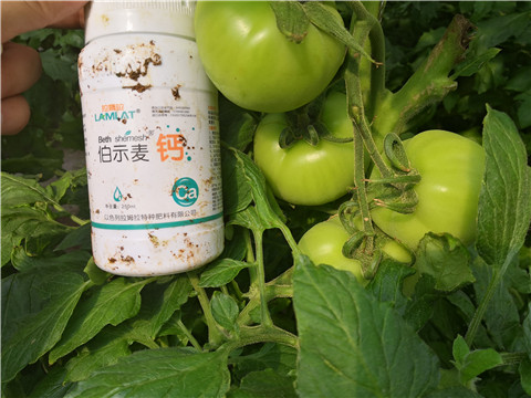 葉面肥，磷酸二氫鉀，鈣肥