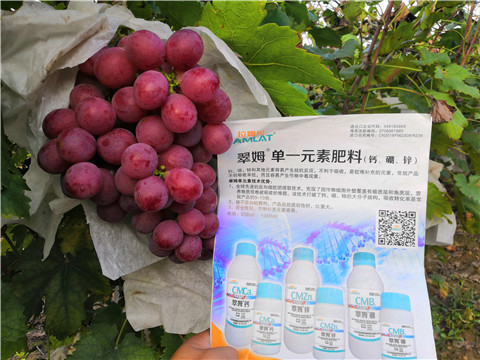 水溶肥，鈣肥，硼肥