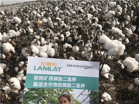 水溶肥，根碧多，生物菌劑