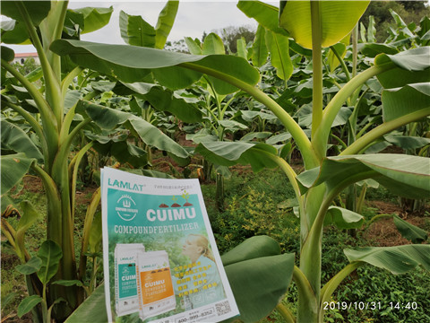 葉面肥，微生物菌劑，硼肥，水溶肥