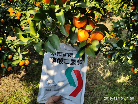 水溶肥，磷酸二氫鉀