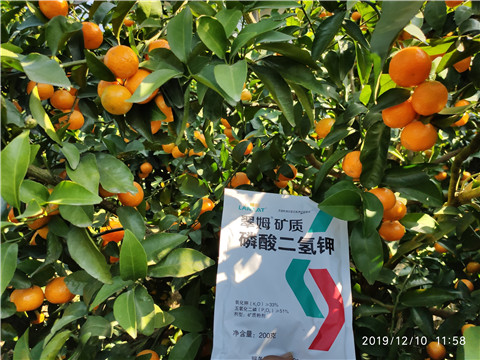 水溶肥，磷酸二氫鉀