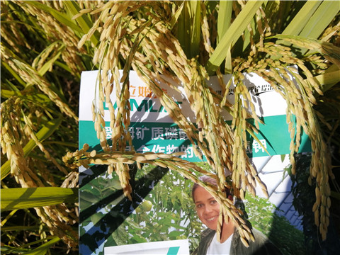 水溶肥，磷酸二氫鉀，