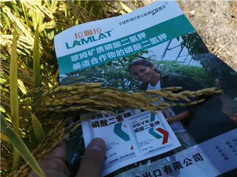 水溶肥，磷酸二氫鉀，