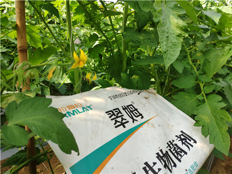 微生物菌劑，