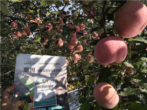 水溶肥，磷酸二氫鉀，微生物菌劑