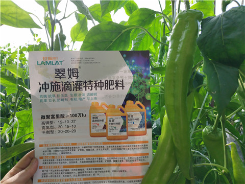 水溶肥，硼肥