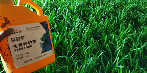 根碧多，拉姆拉