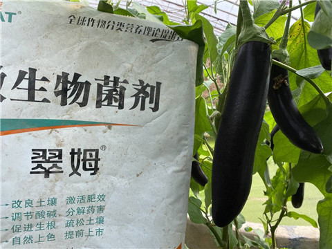 微生物菌劑，拉姆拉