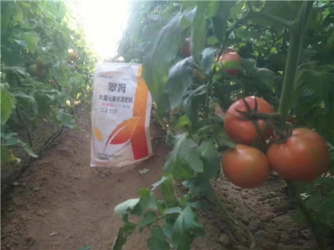 大量元素水溶肥，拉姆拉 