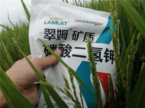 農(nóng)資經(jīng)銷商，拉姆拉，磷酸二氫鉀