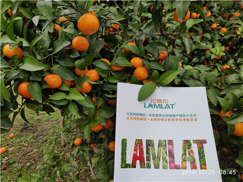 水溶肥，根碧多