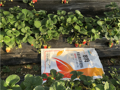 水溶肥，葉面肥，根碧多