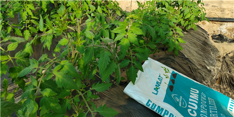 磷酸二氫鉀，鈣肥，水溶肥