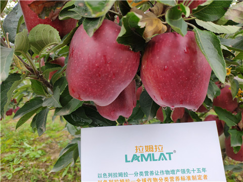 水溶肥 拉姆拉，翠姆