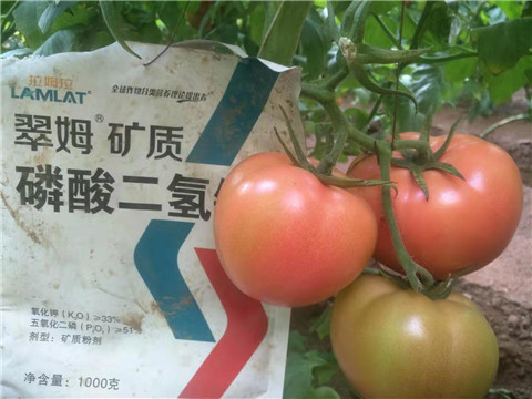 水溶肥，根碧多