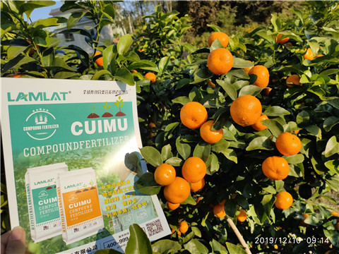 水溶肥，磷酸二氫鉀