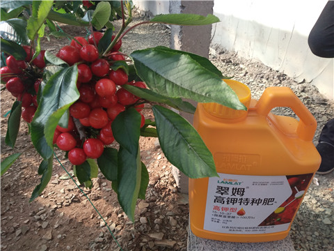 水溶肥，根碧多