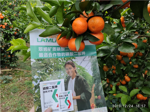 磷酸二氫鉀，鈣肥，硼肥