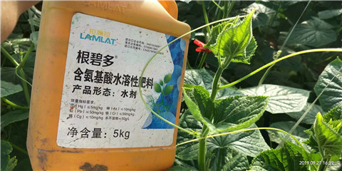 水溶肥，翠姆