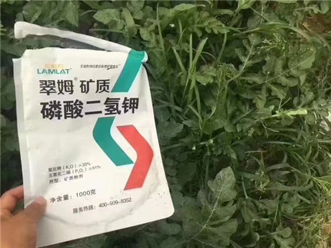 磷酸二氫鉀，硼肥，沖施肥