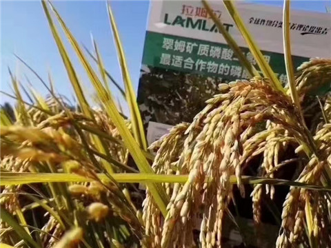 磷酸二氫鉀，翠姆