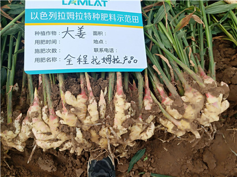 水溶肥，微生物菌劑，拉姆拉