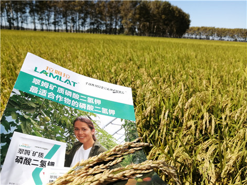 葉面肥，磷酸二氫鉀，安碧解