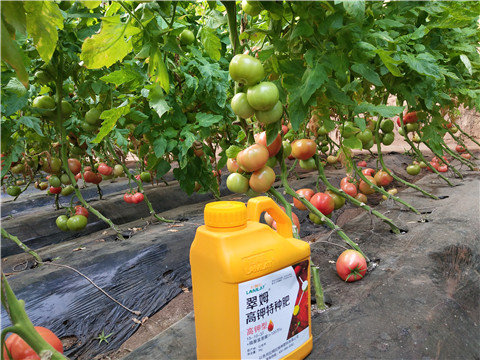 水溶肥，磷酸二氫鉀