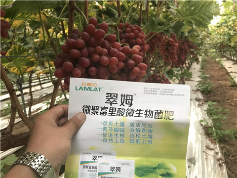 微生物菌劑，硼肥，鈣肥