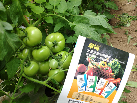 水溶肥，磷酸二氫鉀