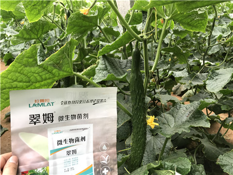 微生物菌劑，水溶肥，拉姆拉