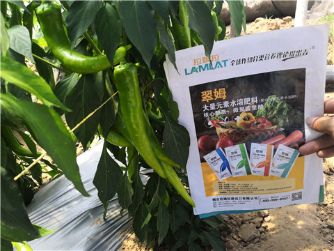 微生物菌劑，復(fù)合肥料，拉姆拉