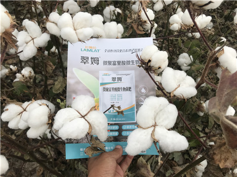 微生物菌劑，根碧多，拉姆拉