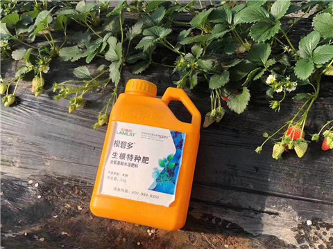 根碧多，微生物菌劑，拉姆拉