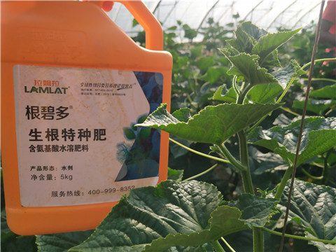 根碧多，磷酸二氫鉀，拉姆拉