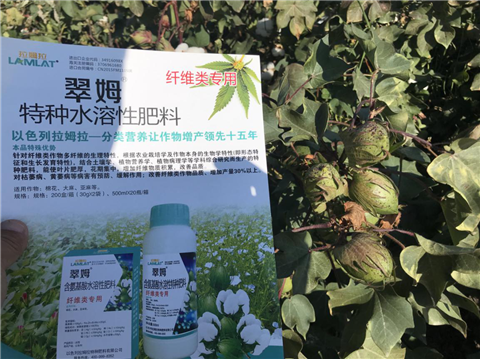 葉面肥，拉姆拉