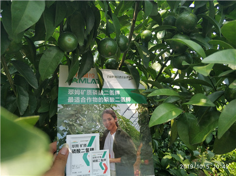 磷酸二氫鉀，拉姆拉