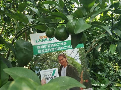 磷酸二氫鉀，拉姆拉