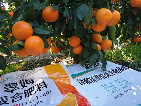 水溶肥，拉姆拉