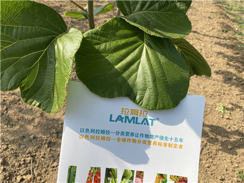 大量元素水溶肥，拉姆拉