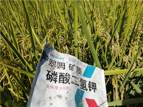 磷酸二氫鉀，翠姆，拉姆拉