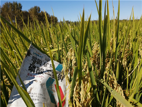 磷酸二氫鉀，翠姆，拉姆拉