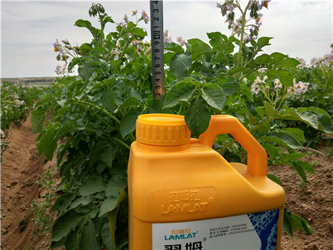 水溶肥，翠姆，拉姆拉