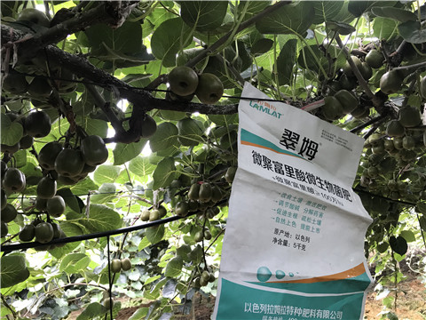 微生物菌劑，翠姆，拉姆拉