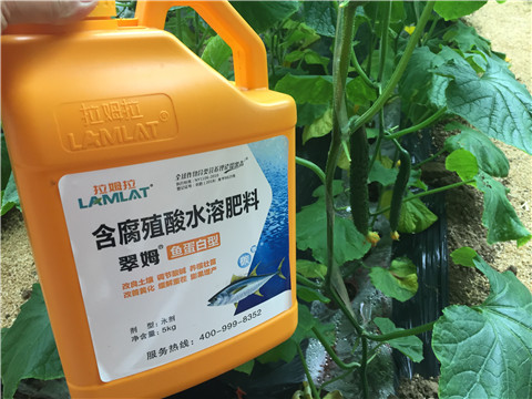 生根劑，魚(yú)蛋白水溶肥，拉姆拉