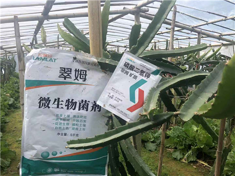 磷酸二氫鉀，翠姆，拉姆拉