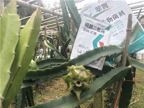 磷酸二氫鉀，翠姆，拉姆拉