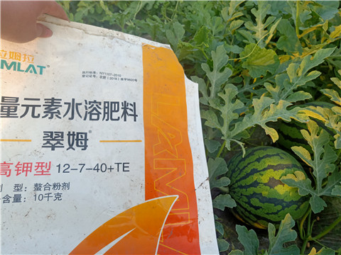 水溶肥，拉姆拉，翠姆