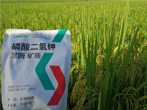葉面肥，水稻灌漿肥，拉姆拉
